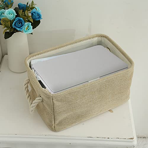 Delarsy Storage Basket, Waterproof Sundries Polyester-Cotton Lining Storage Basket, Sim-ple and Creative Clothing Storage Basket, Sna