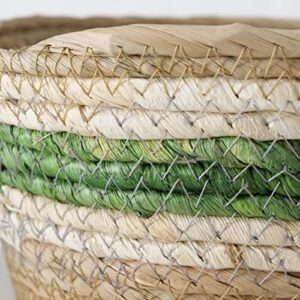 Coastal Green Stripes 3 Piece Basket Set, Shelf Organizers, Corn Husk Wicker, Chunky Rope Weave, Stitched, Diameter 9.75 Inches