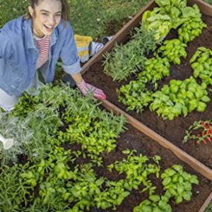 Keter Vista Modular Raised Garden Bed Durable Outdoor Planter for Vegetables Flowers, Herbs, and Succulents, Brown