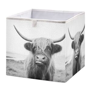wellday storage basket highland cow foldable 11 x 11 x 11 in cube storage bin home decor organizer storage baskets box for toys, books, shelves, closet, laundry, nursery
