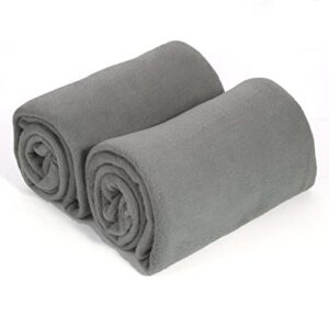 pasanfo 50x60 Inch Cozy Soft Fleece Throw Blanket (Pack of 2, Grey Color)