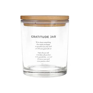 PureRejuva Personal Gratitude Jar with Note Cards, Inspiring and Motivational Self-Reflection Tool for Daily Affirmations, Beliefs, and Goals, Increase Happiness, Reduce Stress, Refocus Lifestyle