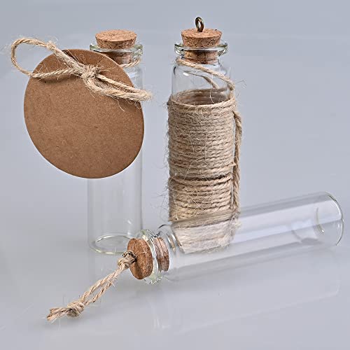 Faburo 40pcs 20ml Small Glass Bottles with Corks, Small Glass Jar with Cork Lid, Mini Clear Glass Bottles with Tags and Strings for DIY Art Crafts Storage, Small Glass Vials for Wedding Favors