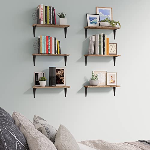 Wallniture Arras Floating Shelves for Living Room Decor, 17"x6" Wood Bookshelves, Wall Shelves for Bedroom, Office, Kitchen Set of 6 Burnt Finish