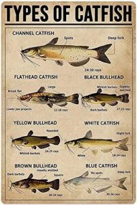 catfish knowledge metal tin sign tyoes of catfish funny poster restaurant cafe living room kitchen bathroom home art wall decoration plaque