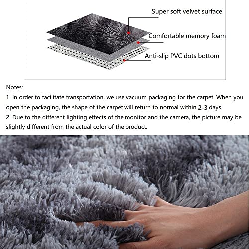 wxnzsl Area Rug for Bedroom 2x3 Fluffy Rugs, Small Plush Furry Shaggy Rugs, Indoor Soft Fuzzy Shag Rugs for Living Room Girls/Boys Room- Dark Gray