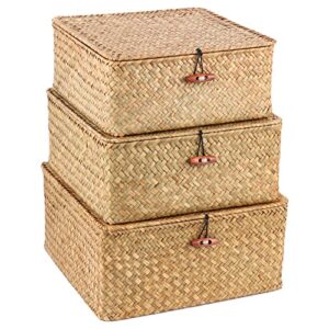 sheyrajiia 3 pack cube seagrass storage bins with lids, rattan woven decorative storage boxes, wicker storage baskets for shelves, storage containers for organizing, toys, clothes and hobby things