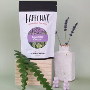 Happy Wax Lavender Lovers Collection Scented Natural Soy Wax Melts – 6 Total Oz. of Scented Wax Melts, Collection Includes 2oz Lavender Cactus, 2oz Calming Lavender, and 2oz Lavender Chamomile