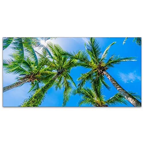 Fluorescent Light Covers for Classroom Office - Eliminate Harsh Glare Causing Eyestrain and Headaches. School-Office-Indoor Ceiling Lamp DecorationCoconut Palm Tree Blue Sky