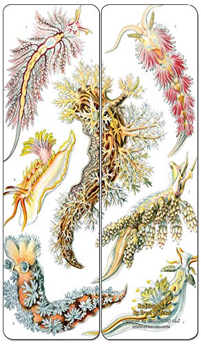 Creanoso Ernst Haeckel Bookmarks Series 2 (60-Pack) - Premium Quality Gift Ideas for Children, Teens, & Adults for All Occasions - Stocking Stuffers Party Favor & Giveaways