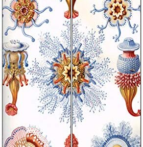 Creanoso Ernst Haeckel Bookmarks Series 2 (60-Pack) - Premium Quality Gift Ideas for Children, Teens, & Adults for All Occasions - Stocking Stuffers Party Favor & Giveaways