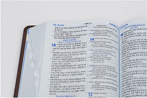 아가페 쉬운 한영성경 NLT (네이비/중/단본/색인/무지퍼) Easy Korean English NLT Bible Navy Middle Size Index Non-Zipper