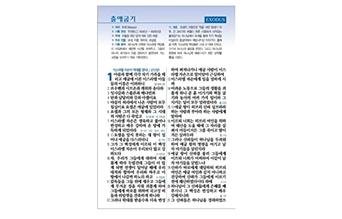 Big Letter Korean Bible Middle size zipper Index 큰글자 성경전서 초코 새찬송가 지퍼 색인 중 사이즈