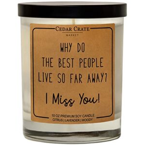 best friend – i miss you – friendship gifts, birthday gifts for friends female, going away gifts, funny gifts for friends, long distance friend, joke, bff, bestie, funny candle, scented soy 10 oz