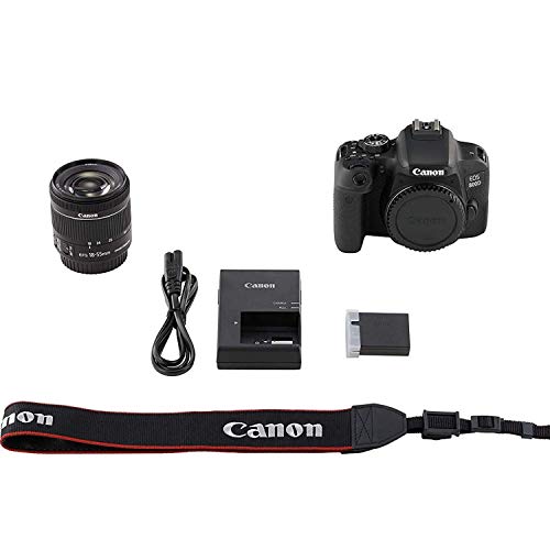 Canon EOS 800D / Rebel T7i w/Canon EF-S 18-55mm F/4-5.6 is STM Zoom Lens & Professional Accessory Bundle W/ 128GB Memory Card & Back-Pack Case & Spare Battery & More