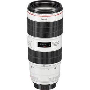 Canon EF 70-200mm f/2.8L is III USM Lens for Canon Digital SLR Cameras (Renewed)