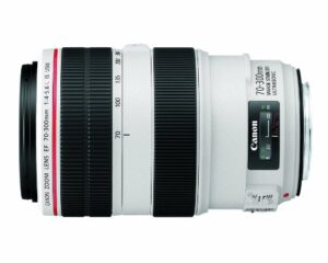 canon ef 70-300mm f/4-5.6l is usm ud telephoto zoom lens for canon eos slr cameras