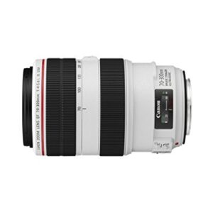 Canon EF 70-300mm f/4-5.6L IS USM UD Telephoto Zoom Lens for Canon EOS SLR Cameras