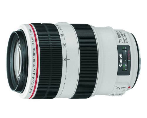 Canon EF 70-300mm f/4-5.6L IS USM UD Telephoto Zoom Lens for Canon EOS SLR Cameras