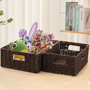 TOPZEA 2 Pack Wicker Basket for Shelves, Woven Shelf Basket Closet Storage Basket with Handle, Farmhouse Decorative Storage Bins Pantry Organization Basket for Home, Office, School