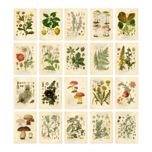 ink inc. vintage botanical prints | woodland plants collage kit forest wildflower mushrooms wall art | boho farmhouse decor | set of 20 5×7 unframed