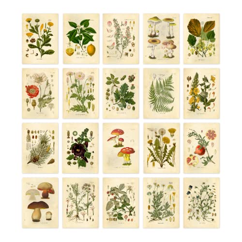 Ink Inc. Vintage Botanical Prints | Woodland Plants Collage Kit Forest Wildflower Mushrooms Wall Art | Boho Farmhouse Decor | Set of 20 5x7 Unframed