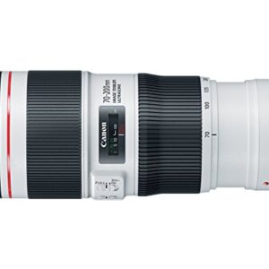 Canon EF 70-200mm f/4L IS II USM Lens for Canon Digital SLR Cameras, White - 2309C002