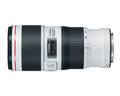 Canon EF 70-200mm f/4L IS II USM Lens for Canon Digital SLR Cameras, White - 2309C002