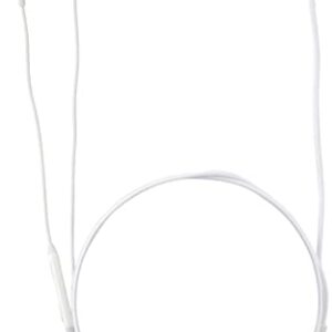 SAMSUNG Corded Type-C Earphones, White (EO-IC100BWEGUS)