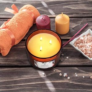 JHENG Large Citronella Candles Outdoor Indoor Candle Made with Natural Soy | 3 Wick Scented Candles Long Lasting 40 Hour Burn | 13.5 Ounces Highly Scented Aromatherapy Candles for Home