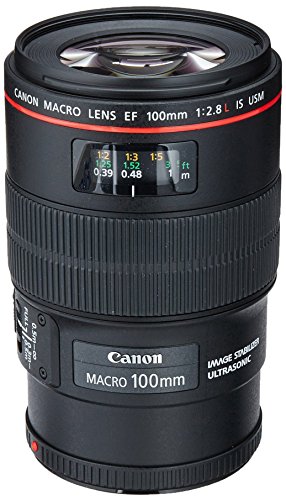 Canon EF 100mm f/2.8L IS USM Macro Lens for Canon Digital SLR Cameras (Renewed)