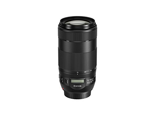 Canon Cameras US EF 70-300 is II USM 70-300mm f/4-5.6 Fixed Zoom Camera Lens, Black (0571C005)