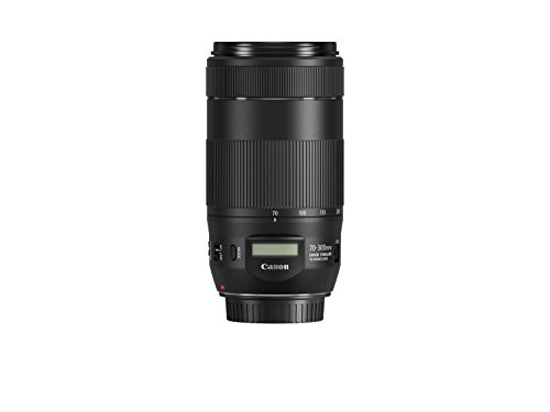 Canon Cameras US EF 70-300 is II USM 70-300mm f/4-5.6 Fixed Zoom Camera Lens, Black (0571C005)