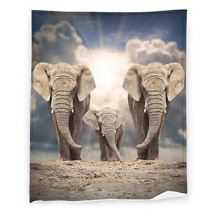 elephant blanket 40″ x 50″ african wild animal family exotic super soft bedding fleece throw blanket luxury bed blanket bedroom living room warm lightweight for kids adults