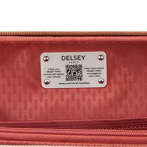 DELSEY Paris Women's Chatelet 2.0 Clutch and Crossbody Bag, Brown, One Size