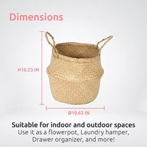 Compactor Natural ?Belly? Basket (Small)