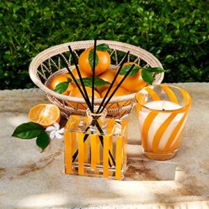 NEST Fragrances X Gray Malin Sicilian Tangerine Classic Candle, 7 Ounces