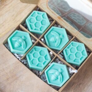 Sedona Sunrise Scented Wax Melts | Strong Scent Coconut Tarts Cactus Flower + Jade + Aloe + Agave | Gift for Mom - Pack of 6