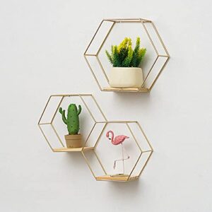 Hexagonal Floating Shelves Wall Mounted Shelf, Rustic Shelves, Metal Wall Shelves for Bedroom,Bathroom,Living Room,Kitchen,Home Office, Wall Plant Holder Flower Pot Planter Stand Home Decor Gold S