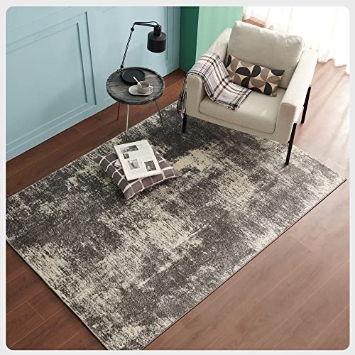 Eviva 5X7 Area Rugs for Living Room Polypropylene - Turkish Living Room Rugs Grey - 5x7 Area Rug for Bedroom W/Stain-Resistant - Grey Rugs for Living Room - Carpet for Bedroom - in Gray and White