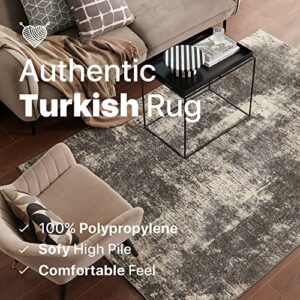 Eviva 5X7 Area Rugs for Living Room Polypropylene - Turkish Living Room Rugs Grey - 5x7 Area Rug for Bedroom W/Stain-Resistant - Grey Rugs for Living Room - Carpet for Bedroom - in Gray and White