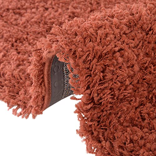 Rugs.com - Über Cozy Solid Shag Collection Rug – 5' x 8' Terracotta Shag Rug Perfect for Bedrooms, Dining Rooms, Living Rooms, 5 x 8 Feet