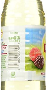 Lipton Diet Mixed Berry Green Tea , 12 ct