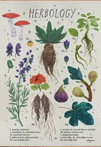 houvssen herbology poster plant magic poster herbology plant poster home decor wall art vertical poster love gardening gift ideal vintage metal tin sign indoor outdoor home wall decor gift 6 x 8inch