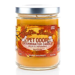 Specialty Pet Odor Exterminator Fall N Leaves Scented Candle Pack of 2 - Pet Odor Candles - Bundle with Ballard Products Air Freshener