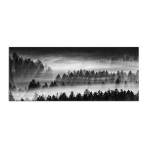 yeilnm forest wall art for home office misty pine trees foggy forest picture painting dramatic dark black and white nature photography artwork print on canvas home office bedroom decor
