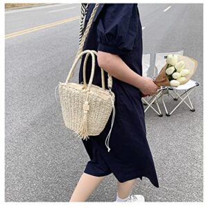 abigail paige Women Straw Handbags For Summer Beach Weave Shoulder Bag Rattan With Tassel (beige)