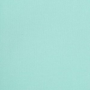 Wooqu Book Cloth, Fabric Surface and Paper Backed, Durable, Strong, 17x29”, for Book Binding, Mint Green