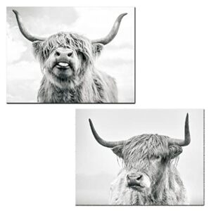 2 pieces highland cow canvas posters prints black and white longhorn steer animal portrait wall art for living room office bedroom decor (unframed,16×20 inches)