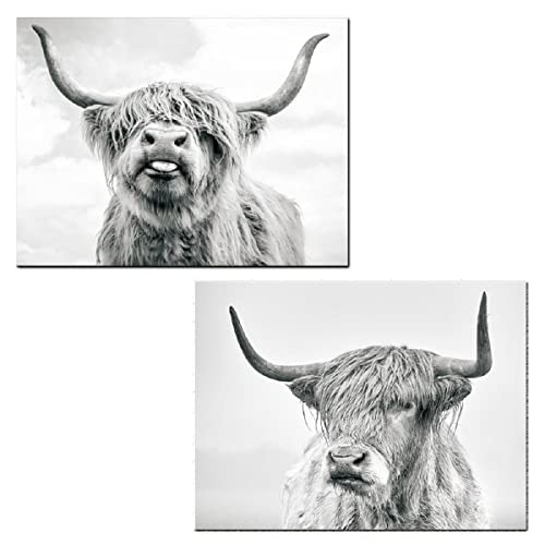 2 Pieces Highland Cow Canvas Posters Prints Black and White Longhorn Steer Animal Portrait Wall Art for Living Room Office Bedroom Decor (Unframed,16x20 inches)